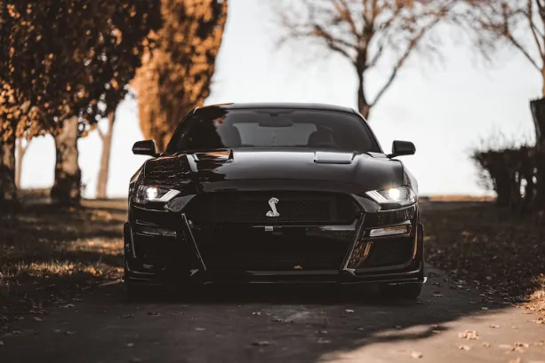 카지노777 카지노 안드로이드/iOS 앱